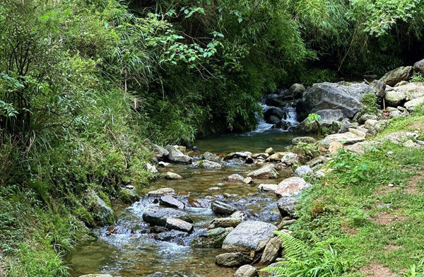 山區溪流水濁度細菌超標怎么處理成飲用水?