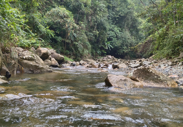 山泉水下雨泥沙多如何處理成自來水?
